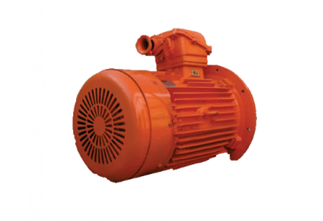 YBS(DSB)系列輸送機(jī)用隔爆型異步電動(dòng)機(jī)